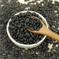 Vente en gros de graines de soja noires de 6,5 mm, de graines de tortue noires et de haricots noirs secs (grands ou petits)