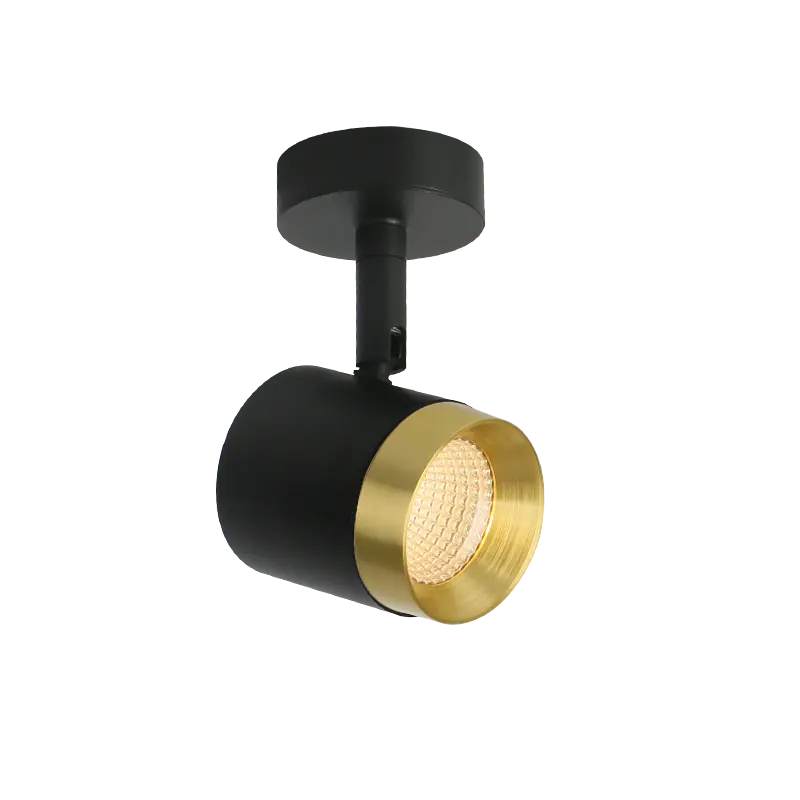 Aisilan new design cb saa aluminum round led adjustable 360 rotated iron tube surface mount downlight fixture