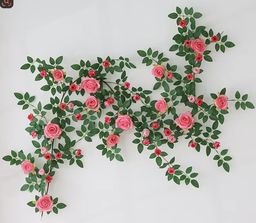 vigne rose améliorée rose