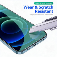Pelindung Layar Kaca Tempered Privasi Grosir untuk iPhone Smartphone, Cakupan Penuh Tahan Aus & Gores Schutzfolie