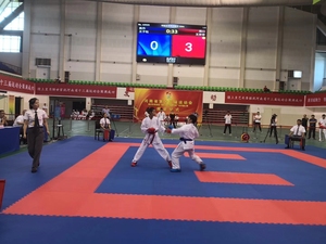 Wkf утвержденные татами-пазлы для каратэ, коврики 25 мм для практики, пазл wkf, татами для каратэ - Product Image 6