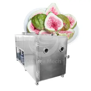 ORME Flower Experimental Freeze-Dry Machine 200 Kg Fruit and Vegetable Shrimp Equipment Largest for Sale