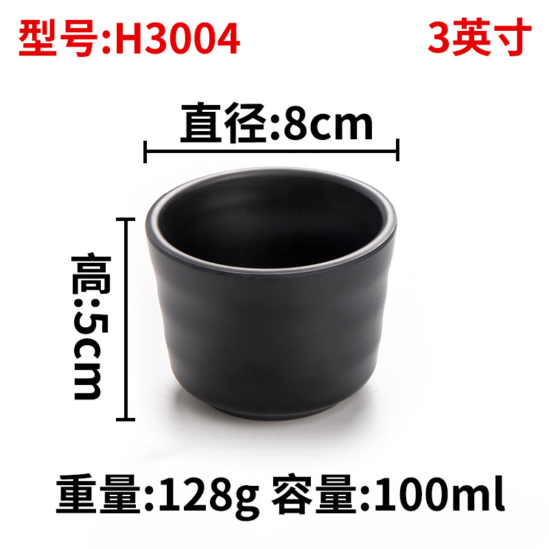 H3004