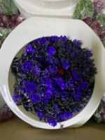 Petites plantes artificielles en pot suspendues de 28 cm, fleurs de bonsaï