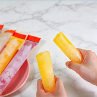 Sacs à glaces jetables en plastique PE de qualité alimentaire, écologiques, avec fermeture éclair, moules à glaces DIY pour smoothies aux fruits, jus, yaourt