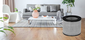 Filtro de Repuesto de Carbón Activado con Material HEPA para Purificador de Aire True Air, Compatible con los Modelos Bissell <span class=keywords><strong>MYair</strong></span> 2780A/2780/27809 - Product Image 5