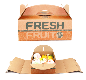 Venta al por mayor de papel de cartón corrugado naranja manzana limón mango plátano fruta vegetal embalaje caja de cartón - Product Image 3