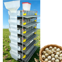 Cage à poules pondeuses haute densité pour la production de cailles avec courroie à œufs intégrée et mangeoire automatique
