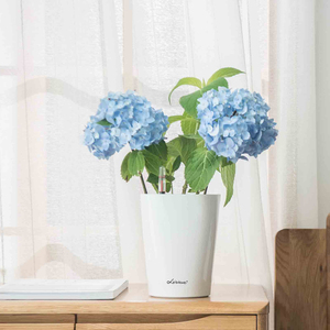 China Auto-riego perezoso cactus mesa de escritorio de oficina interior novedad lindo al por mayor pequeño jardín de hierbas de maceta de plástico pote de flor - Product Image 2