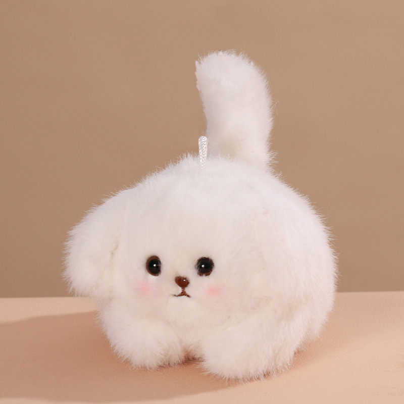 Piccolo cane carino bianco