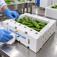 Boîte d'emballage personnalisée en plastique ondulé PP pour okra, pour le stockage des récoltes agricoles, découpée, ventilée et durable