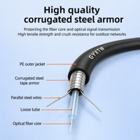 Kabel Serat Optik Berlapis Baja G652D Mode Tunggal Inti 2 4 6 8 12 24 untuk Luar Ruangan GYXTW POE 5G FTTH IP