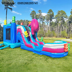Château Gonflable Thème Marin Bleu Dauphin avec Toboggan Aquatique pour Jardin, Combo Gonflable et Toboggan pour Enfants, Vente en Gros - Product Image 1