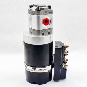 Bomba de motor sin escobillas 24V 48V para transpaleta, dirección de vehículos, emergencia, vehículos de gran altitud, modelo 10100-001, alta eficiencia I - Product Image 2