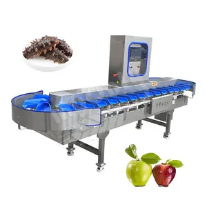 MYONLY Máquina automática de clasificación de tamaño de fecha de patata dulce de gambas frescas de pescado de acero inoxidable por peso para mangostán