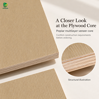 Contreplaqué plaqué Jinbase W-KJ-201 Golden Sand Drift, qualité E0, 1220x2440mm, placages cerisier et zébrano.