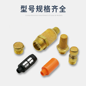 Connecteur pneumatique silencieux en fer à tête plate type Bslm M5 1 2 3 4 6 Tailles - Product Image 2