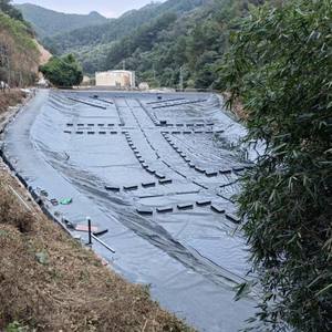 Hoge Dichtheid 1.0Mm Hdpe Geomembrane Voering Polyethyleen/Plastic Kunstmatige Meertank/Vijver Viskwekerij Dam Park Visvijver Beste Prijs - Product Image 2