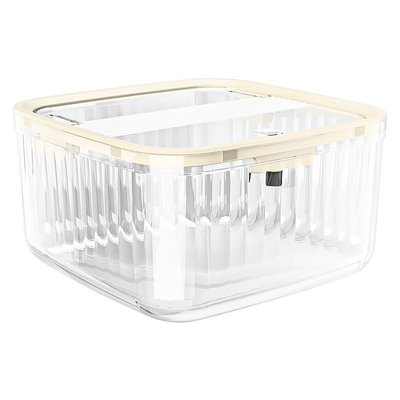 Small transparent size [packaged in color box]