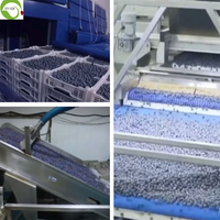 Premium Zoete Gedroogde Bosbessen Gezonde Snacks Voor Een Voedzame Boost
