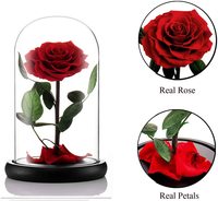 Shenniu — petit Prince, magnifique tige de Rose de la belle et la bête, dôme en verre, fleurs conservées