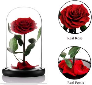 Pequeño Príncipe estabilizado, Big <span class=keywords><strong>Bella</strong></span> Beast, Rosa Stem Real para siempre, cúpula de cristal eterna, flores preservadas - Product Image 3