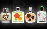 Parfums Eason OEM personnalisables (Crème écologique format voyage, senteur fraîche moderne pour femme, gamme complète, réductions en gros)