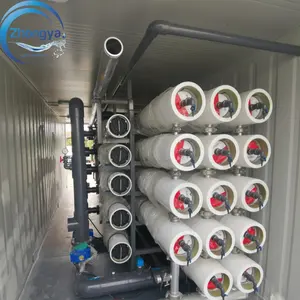 Environmental Seawater Desalination Machine Purified Water Plant Reverse Osmosis Water Filter System For Island Tourism