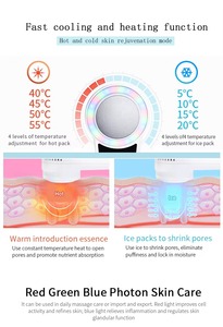 Portable Hot and Cold Hammer Facial Device - Product Image 6