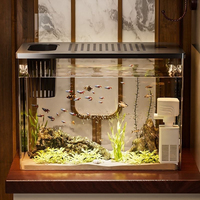 Nouveau modèle 2026 : Aquarium rectangulaire en acrylique pour poissons rouges et tortues, réservoir d'herbe écologique de 2,5 L pour salon et maison