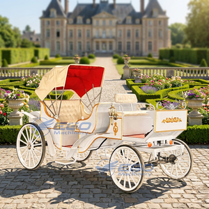 Vente directe usine : Calèche de loisirs, calèche de tourisme, véhicule de transport spécial à vendre à bas prix - Product Image 5