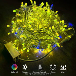 Guirlande lumineuse de Noël à LED à contrôle ponctuel IP65-Options multi-longueurs - Product Image 2