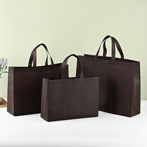 Bolsa de Polipropileno No Tejido con Logotipo Personalizado, Sellada por Calor Ultrasónico, Laminada por Presión en Caliente, Plegable, Tamaño Mediano, Hecha en Vietnam, Poliéster Resistente - Product Image 2