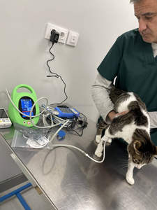 OSCAT 반려동물 건강 모니터 수의학 혈압계 고양이 강아지 다용도 커프스 반려동물 의료 장비 (수의학 클리닉용) - Product Image 6