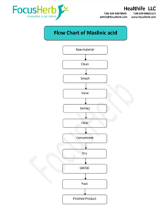 Poudre d'extrait de feuille d'olivier en gros d'usine de qualité alimentaire Healthife 10% 20% 30% acide maslinique - Product Image 4