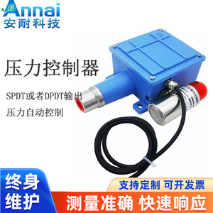 Pressostat à filetage G1/2, corps en plastique, IP65, antidéflagrant, pour fluides gazeux - Product Image 2