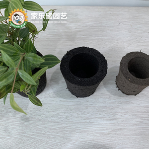 Vườn ong ngắn <span class=keywords><strong>Coco</strong></span> phát triển khối nhà kính làm vườn soilless trồng trọt nén trồng chậu hoa bọt biển trồng cup - Product Image 5