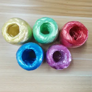 Wallepac كامل الألوان البوليستر Rope100 جرام البلاستيك مقاومة للاهتراء حبل pp التعبئة الملونة المخصصة للحبال البلاستيكية المجمعة