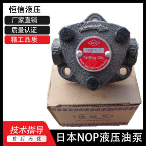 Pompe à engrenages Nop Gear Pump Top 10A, pompe hydraulique électrique en fonte, type rotatif - Product Image 4