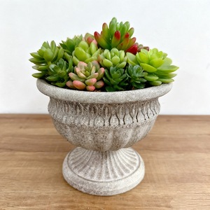 Maceta Grande Retro para Jardín o Patio, Maceta para Suculentas, Gris, Boca Ancha, Contenedor para Plantas de Exterior - Product Image 1