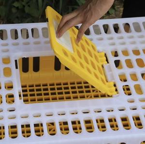 Kandang Transportasi Ayam Hidup Plastik Tipe H Heavy Duty Baru dengan Kotak Pembalik Anak Ayam untuk Peternakan Ayam Petelur (75x55x27cm) - Product Image 3