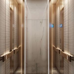 ลิฟต์โดยสารสำหรับบ้านพักอาศัยในโรงงานจีน พร้อมห้องโดยสาร - Product Image 4