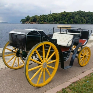 Carrozza Elettrica Nera di Lusso a 4 Ruote per Trasporto Matrimoniale - Qualità Reale per Natale - Product Image 6