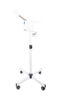 2025 professionnel pas cher Salon de beauté Spa vapeur chaud et frais visage vapeur Ozone beauté vapeur avec support