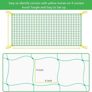 Heavy Duty High Quality 2m * 5m Agriculture Plants Supporting <strong>Net</strong> <strong>Trellis</strong> <strong>Net</strong> for <strong>Crop</strong> - Product Image 3
