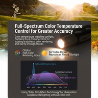 Linterna de Inspección UV de 365nm, Recargable Tipo-C, Luz Negra para Revisar Documentos, Materiales y Superficies