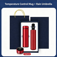 Ensemble Cadeau Promotionnel en Gros avec Logo Personnalisé : Thermos en Acier Inoxydable, Carnet, Stylo Métallique, Clé USB, Parapluie Pliable – Cadeau Bien-être