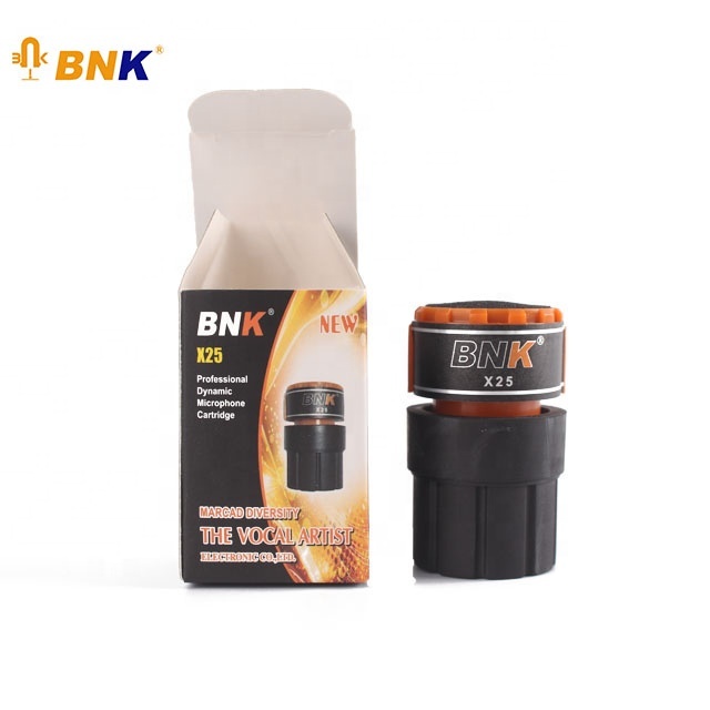 BNK Mic Coillarge Diaphragm Condenser Microphone