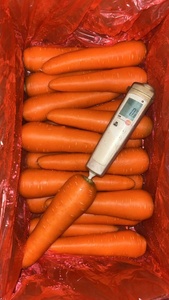 Xuất Xứ Trung Quốc Bán Buôn Số Lượng Lớn Chất Lượng Cao IQF Tươi Đông Lạnh Hỗn Hợp Rau Đậu Hà Lan Cà Rốt Ngô Ngọt Cây Trồng Mới - Product Image 6