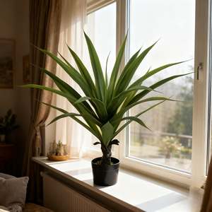 Décoration de salon, plante artificielle d'agave de haute qualité, <span class=keywords><strong>cactus</strong></span> ananas décoratif d'intérieur - Product Image 2